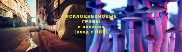 дурь Бородино