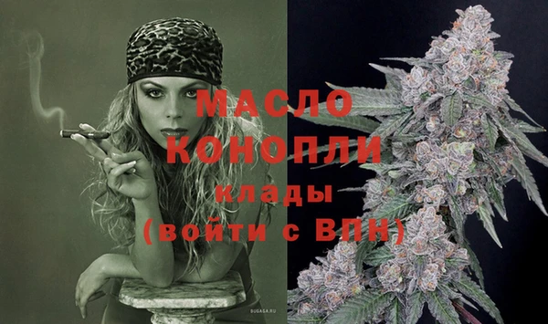 дурь Бородино