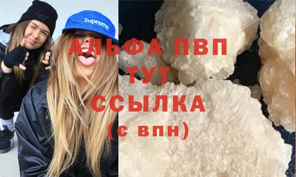 дурь Бородино